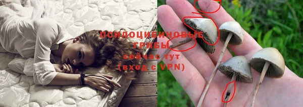 соль курить ск Арсеньев